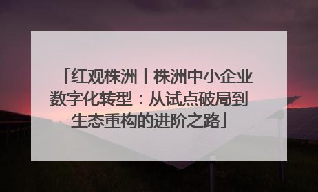 红观株洲丨株洲中小企业数字化转型：从试点破局到生态重构的进阶之路