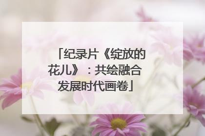 纪录片《绽放的花儿》：共绘融合发展时代画卷