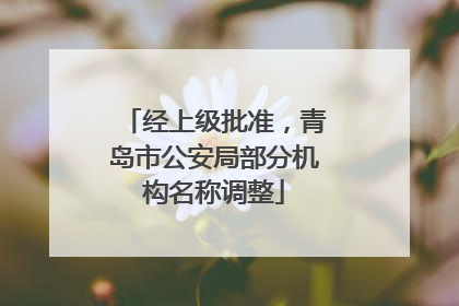 经上级批准，青岛市公安局部分机构名称调整