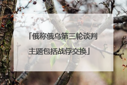 俄称俄乌第三轮谈判主题包括战俘交换