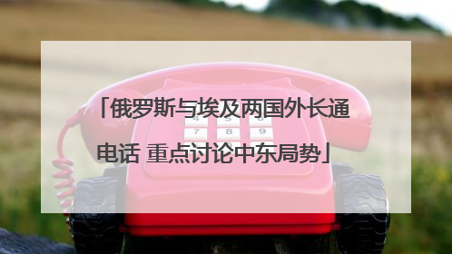 俄罗斯与埃及两国外长通电话 重点讨论中东局势