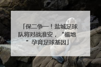 保二争一！盐城足球队将对战淮安，“福地”孕育足球基因