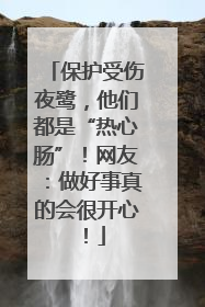 保护受伤夜鹭，他们都是“热心肠”！网友：做好事真的会很开心！