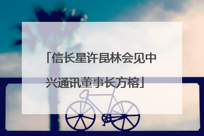 信长星许昆林会见中兴通讯董事长方榕