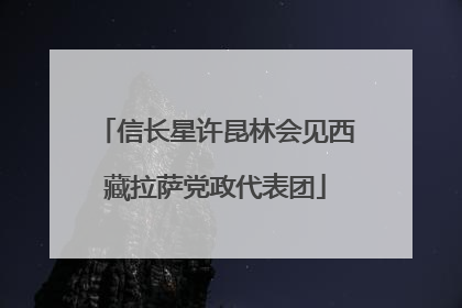信长星许昆林会见西藏拉萨党政代表团