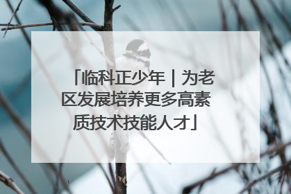 临科正少年｜为老区发展培养更多高素质技术技能人才