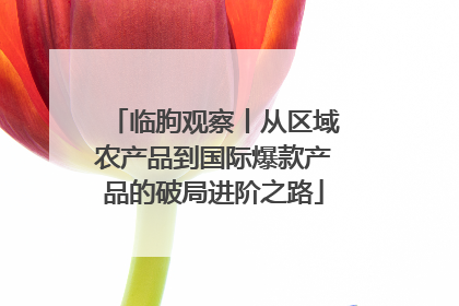 临朐观察丨从区域农产品到国际爆款产品的破局进阶之路
