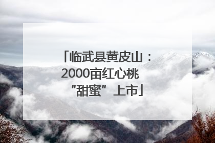 临武县黄皮山：2000亩红心桃“甜蜜”上市
