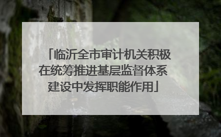 临沂全市审计机关积极在统筹推进基层监督体系建设中发挥职能作用