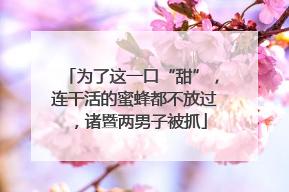为了这一口“甜”，连干活的蜜蜂都不放过，诸暨两男子被抓