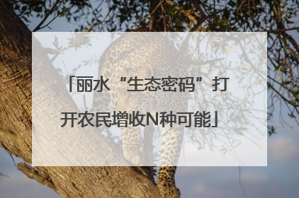 丽水“生态密码”打开农民增收N种可能