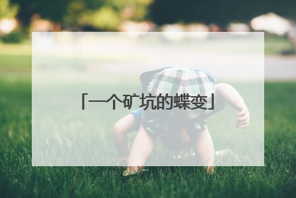 一个矿坑的蝶变