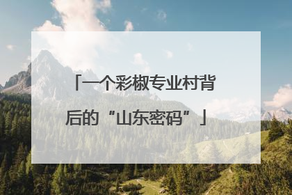 一个彩椒专业村背后的“山东密码”