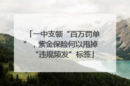 一中支领“百万罚单”，紫金保险何以甩掉“违规频发”标签