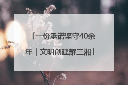 一份承诺坚守40余年｜文明创建耀三湘
