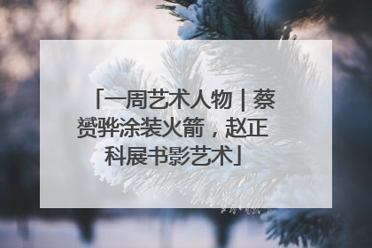 一周艺术人物｜蔡赟骅涂装火箭，赵正科展书影艺术