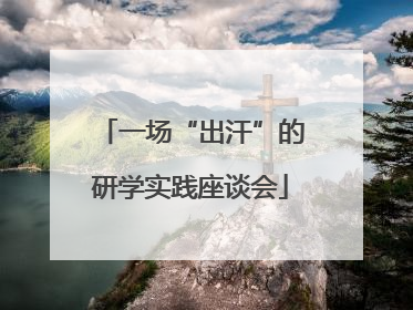 一场“出汗”的研学实践座谈会
