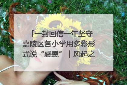 一封回信一年坚守 嘉陵区各小学用多彩形式说“感恩”｜风起之江 扶摇直上