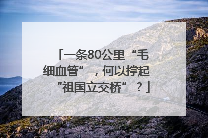 一条80公里“毛细血管”，何以撑起“祖国立交桥”？