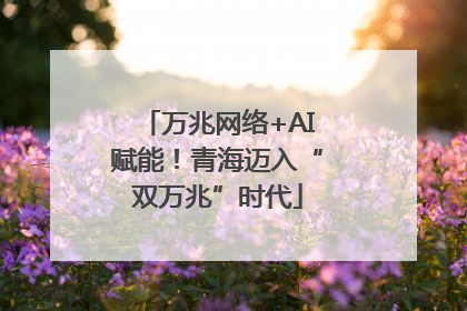 万兆网络+AI赋能！青海迈入“双万兆”时代