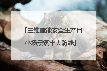 三维赋能安全生产月 小场景筑牢大防线