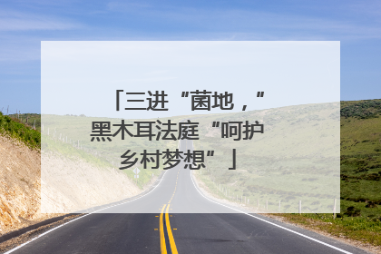 三进“菌地，”黑木耳法庭“呵护乡村梦想”