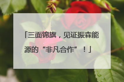 三面锦旗，见证振森能源的“非凡合作”！