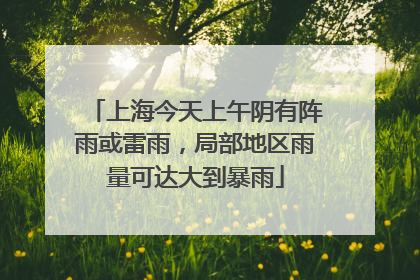 上海今天上午阴有阵雨或雷雨，局部地区雨量可达大到暴雨