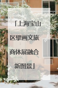 上海宝山区擘画文旅商体展融合新图景