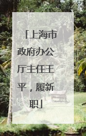 上海市政府办公厅主任王平，履新职