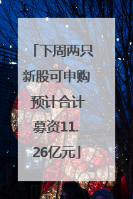 下周两只新股可申购 预计合计募资11.26亿元