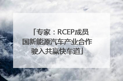 专家：RCEP成员国新能源汽车产业合作驶入共赢快车道