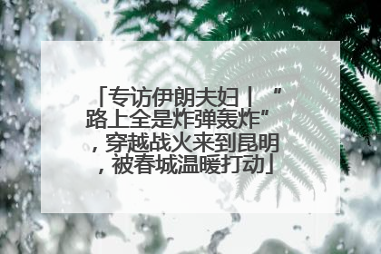 专访伊朗夫妇丨“路上全是炸弹轰炸”，穿越战火来到昆明，被春城温暖打动