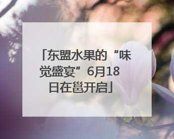 东盟水果的“味觉盛宴”6月18日在邕开启