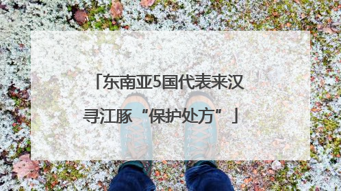 东南亚5国代表来汉寻江豚“保护处方”