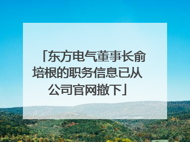东方电气董事长俞培根的职务信息已从公司官网撤下