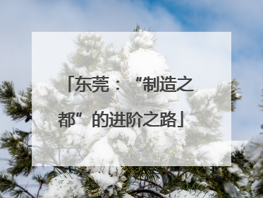 东莞：“制造之都”的进阶之路