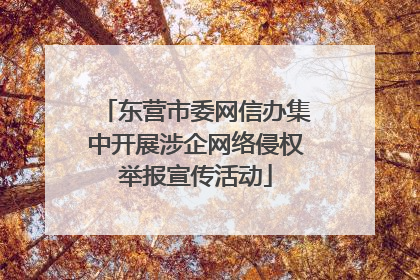 东营市委网信办集中开展涉企网络侵权举报宣传活动