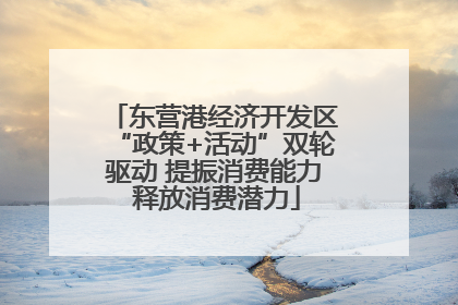东营港经济开发区“政策+活动”双轮驱动 提振消费能力 释放消费潜力