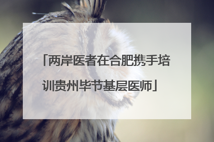 两岸医者在合肥携手培训贵州毕节基层医师