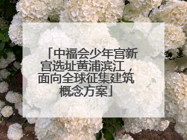 中福会少年宫新宫选址黄浦滨江，面向全球征集建筑概念方案