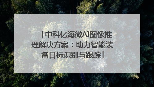 中科亿海微AI图像推理解决方案：助力智能装备目标识别与跟踪