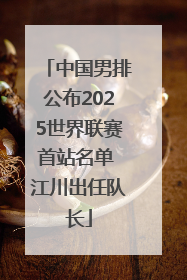 中国男排公布2025世界联赛首站名单 江川出任队长