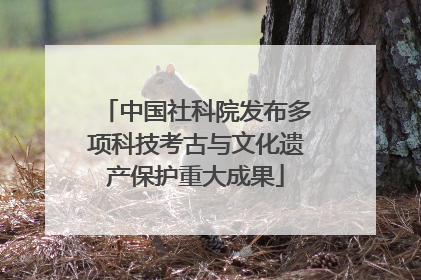 中国社科院发布多项科技考古与文化遗产保护重大成果