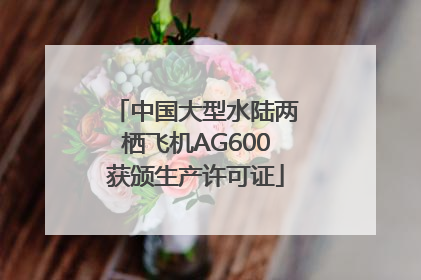 中国大型水陆两栖飞机AG600获颁生产许可证