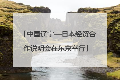 中国辽宁—日本经贸合作说明会在东京举行