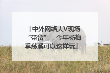 中外网络大V现场“带货”，今年杨梅季慈溪可以这样玩
