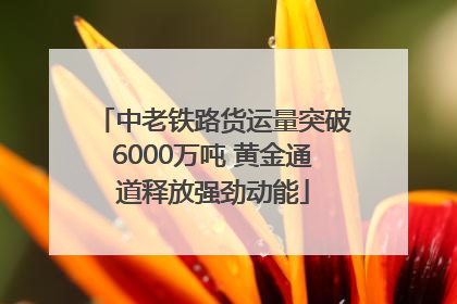 中老铁路货运量突破6000万吨 黄金通道释放强劲动能