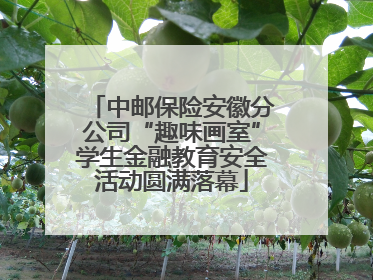 中邮保险安徽分公司“趣味画室”学生金融教育安全活动圆满落幕
