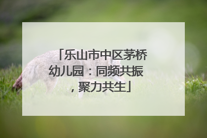 乐山市中区茅桥幼儿园：同频共振，聚力共生